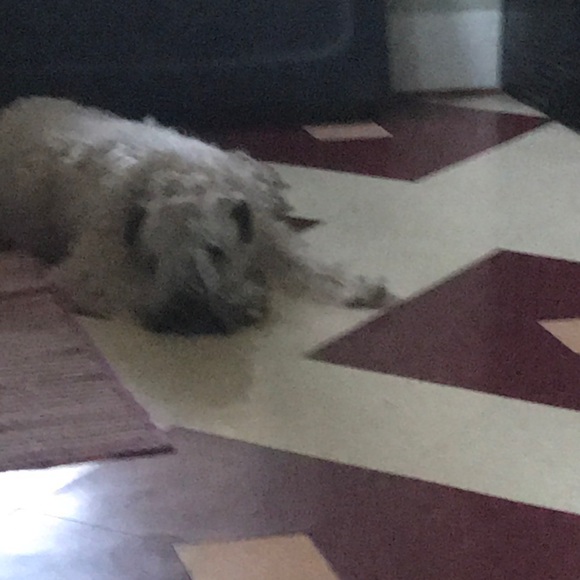 Meet your Posher, Cindy - Picture 1 of 1